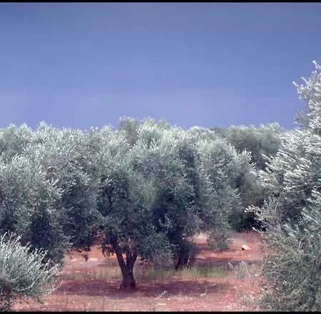 Trullo Della Luna 圣米凯莱萨伦蒂诺